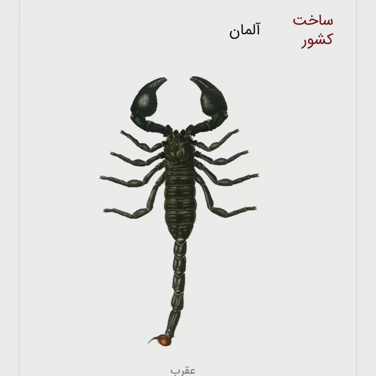 سم عقرب کش پیگانیک مبارز بی رحم عقرب ها ارسال رایگان