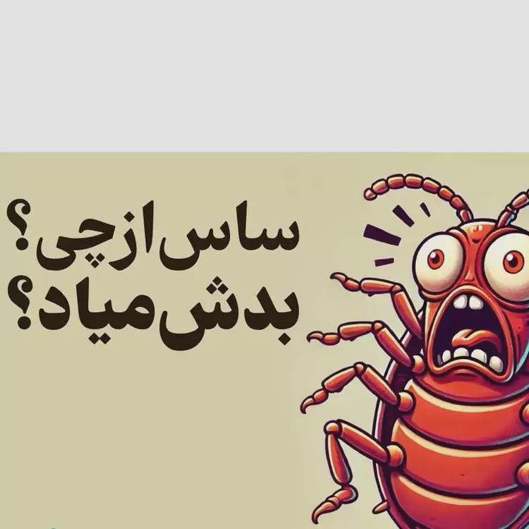 سم ساس بد باگ اوت کشنده ترین ساس کش ارسال رایگان مدل 1