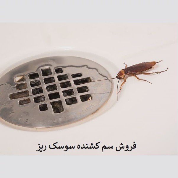 سم یک لیتری سوسک کش ریز و درشت ریپلزال بدون بو ، ارسال رایگان