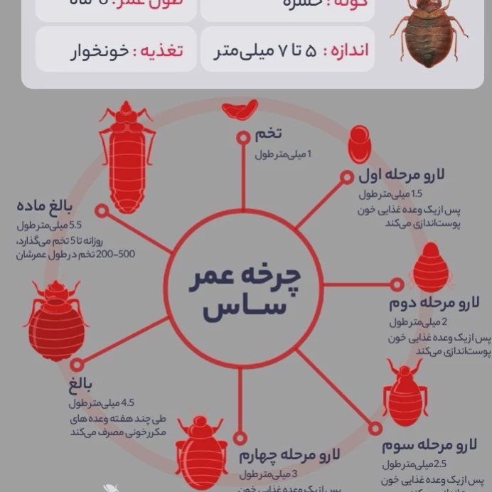 سم ساس پیرانا اصلی بایر با لوگو اورجینال ارسال رایگان مدل 1