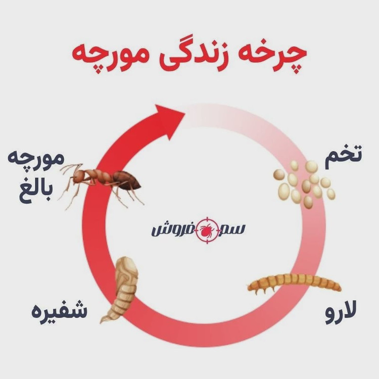 سم مورچه کش انت کیلر یک لیتری بدون بو ارسال رایگان