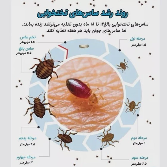 سم ساس کش کراس فایر نسخه بروز شده پیرانا ارسال رایگان مدل 1