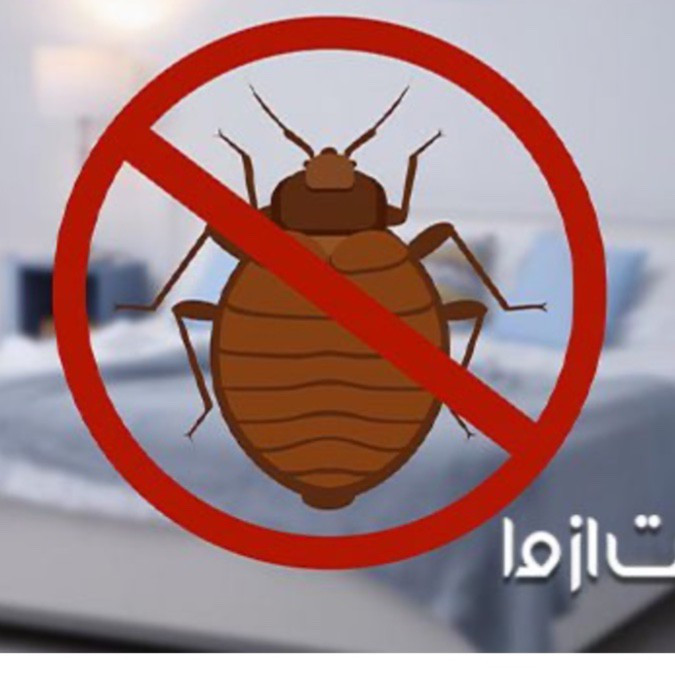 سم حشره کش ساس پیرانا مدل 1-10 حجم 1 لیتری