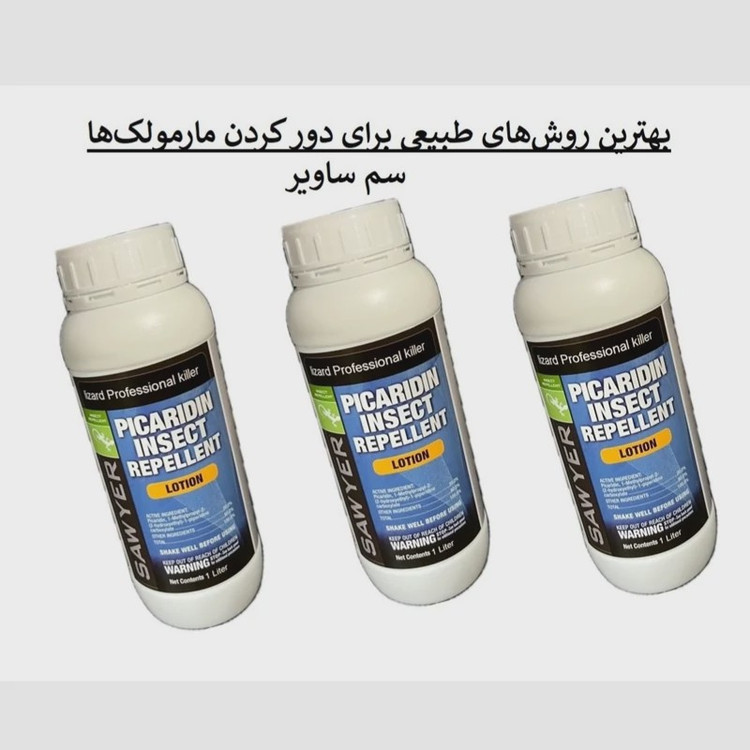 راه حل سریع برای مارمولک ها از خانه ساویر