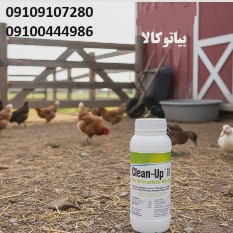 کک ها را با سم کلین آپ نابود کنید