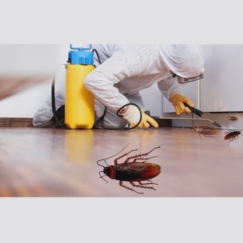 سم ریپلزال اورجینال کابوس سوسک های ریز و درشت ارسال رایگان