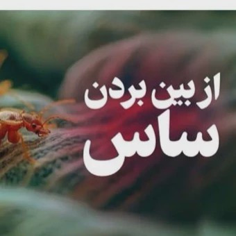 سم ساس کش پیرانا Pyranha نسخه اصلی ارسال رایگان