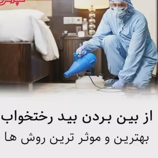 سم بید کش پست اکسپرت بدون بو ارسال رایگان مدل 1