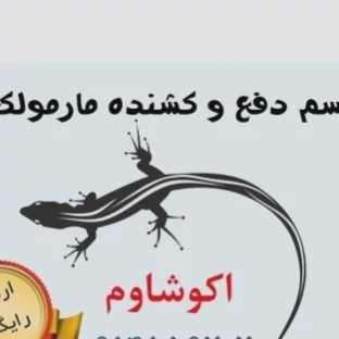 سم 4 لیتری مارمولک کش آکوشام چینی عمده ارسال رایگان