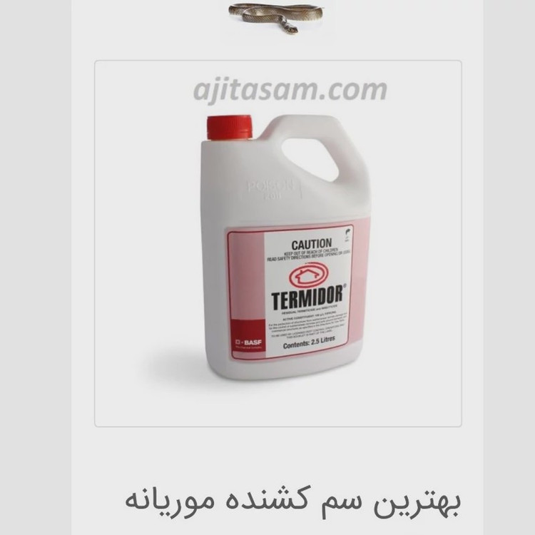 سم موریانه کش ترمیدور خارجی 4لیتری(ارسال رایگان)
