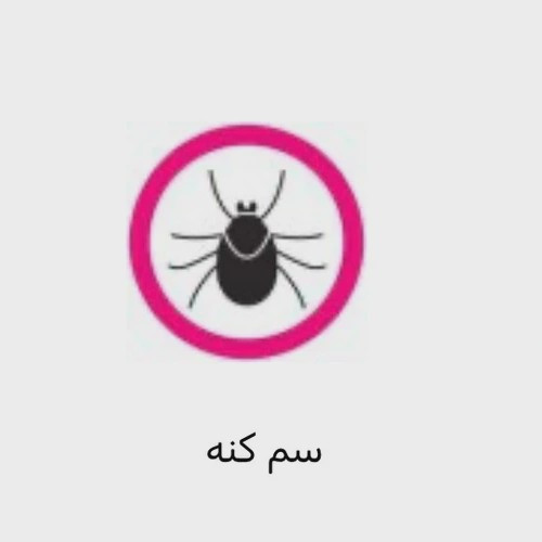 سم کنه کش مکس فورس نسخه اصلی اورجینال بایر ارسال رایگان