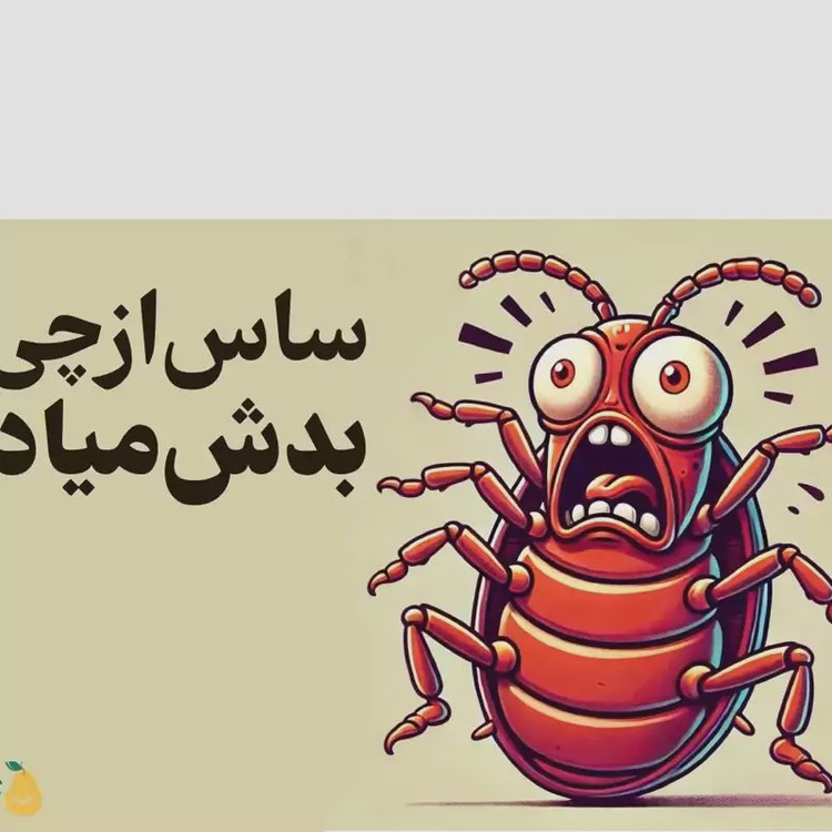 سم ساس پیرانا تحت لیسانس کشنده ترین ساس کش دنیا ، ارسال رایگان مدل 1