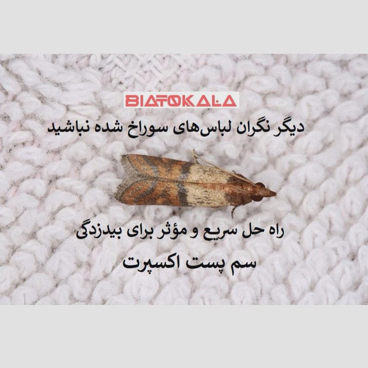 نابودی بید با سم پست اکسپرت