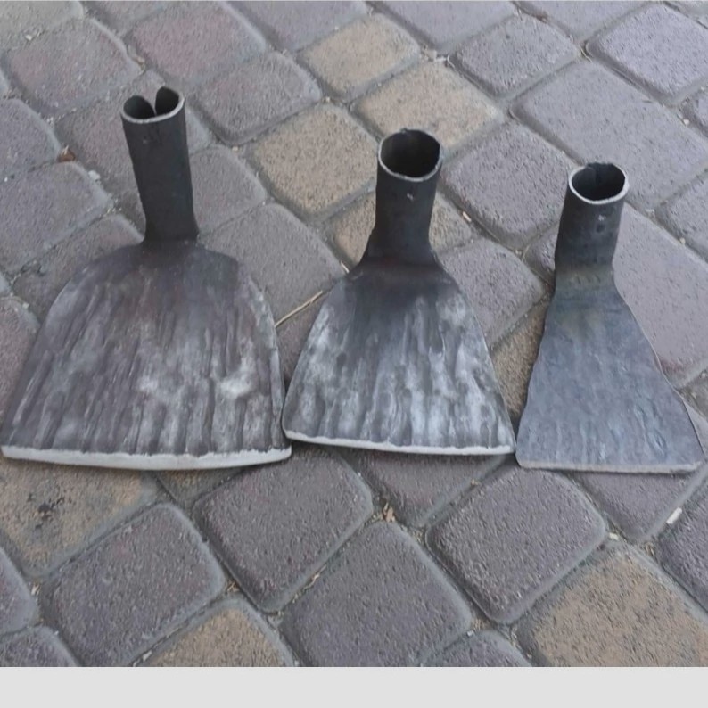 بیل علف چینی