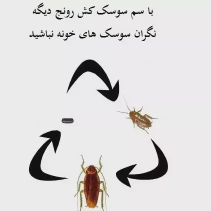 سم سوسک کش رونج کشنده ترین سم بدون بو ارسال رایگان مدل 1