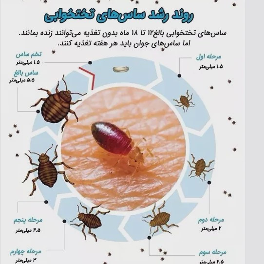 سم 10 لیتری پیرانا Pyranha نسخه اصلی اورجینال عمده ارسال رایگان