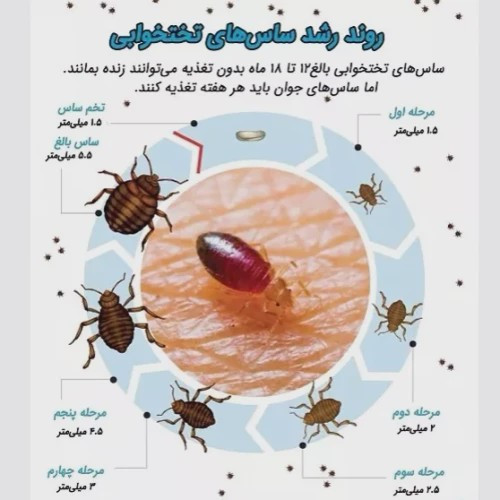 سم ساس پیرانا تحت لیسانس ویران کننده در جهان ارسال رایگان