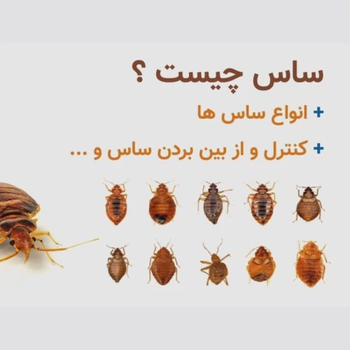 سم ساس پیرانا تحت لیسانس ویران کننده در جهان ارسال رایگان