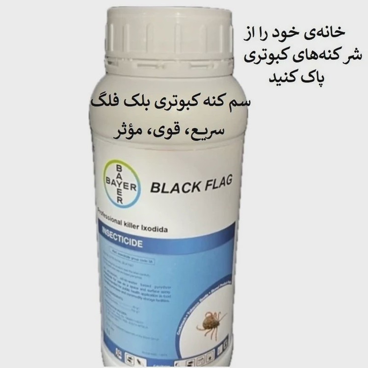 نابودی فوری کنه کبوتری با سم بلک فلگ
