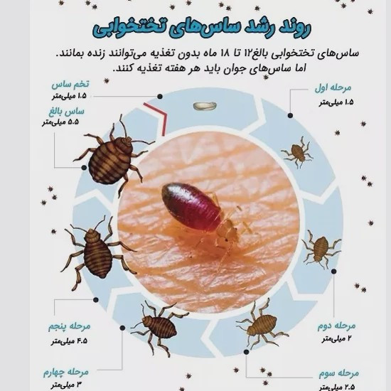پودر گوگرد کمیاب مخصوص ریشه کنی ساس ارسال رایگان