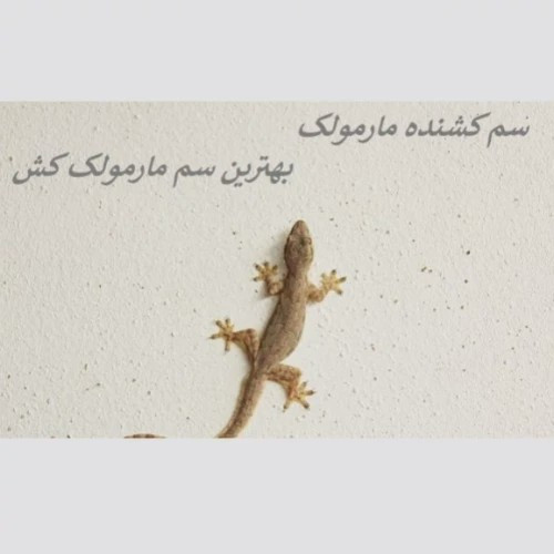 سم مارمولک کش لیزارد کشنده ترین سم ارسال رایگان