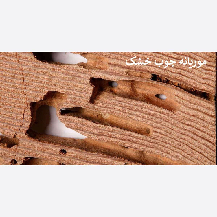 سم موریانه کش ترمیدور نسخه اصلی با ضمانت غرفه برتر ( ارسال رایگان )