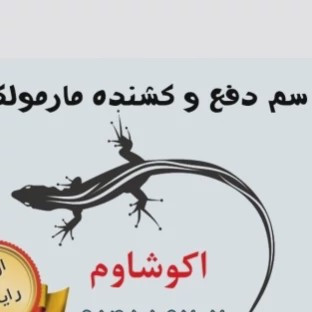سم مارمولک کش لیزارد LIZARD قاتل مارمولک های مزاحم ارسال رایگان