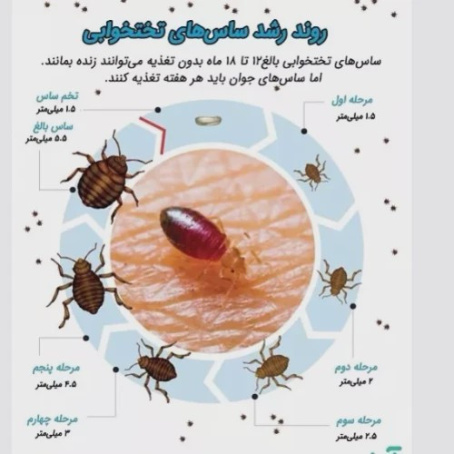 سم بدباگ اوت مبارز سرسخت ساس ارسال رایگان
