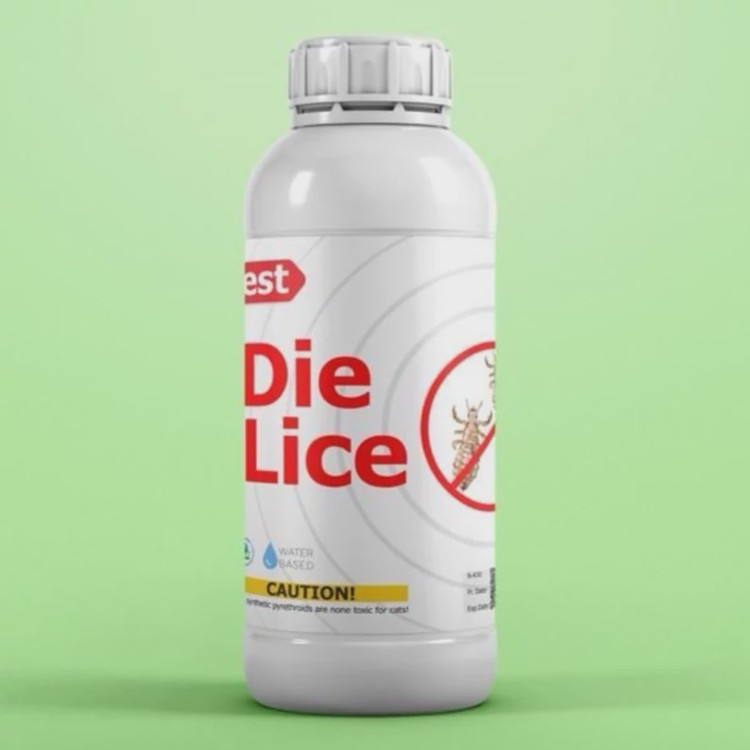 سم شپش کش محیط و سر Die Lice ارسال رایگان به همراه یک عدد سمپاش سر نوشابه ای مدل 1
