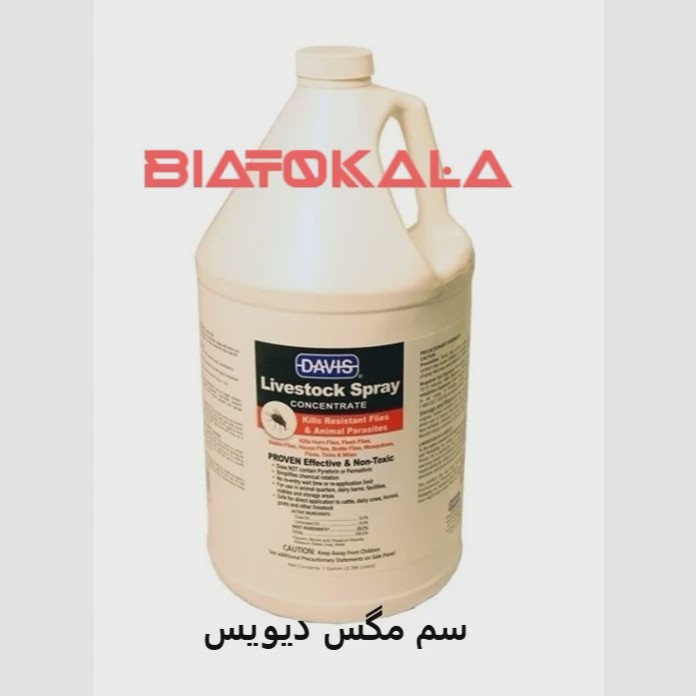 از بین بردن مگس ها در خانه و فاضلاب ها