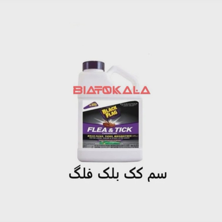 از بین بردن کک و تخم کک با بلک فلگ