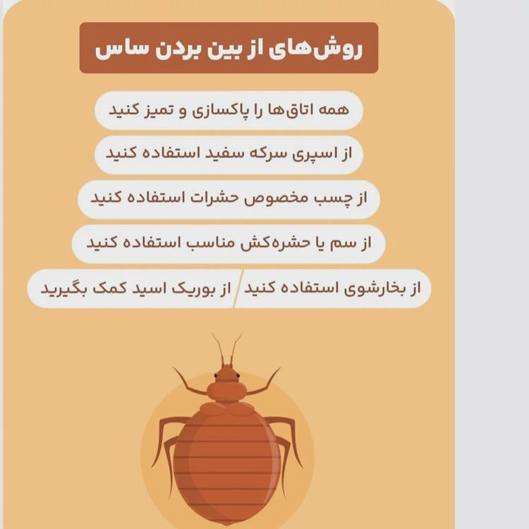 سم کشنده کراس فایر حشره کش نسل جدید با فرمولاسیون ژاپنی ارسال رایگان