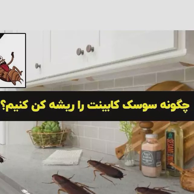 سم یک لیتری سوسک کش ریز و درشت ریپلزال بدون بو ، ارسال رایگان مدل 1