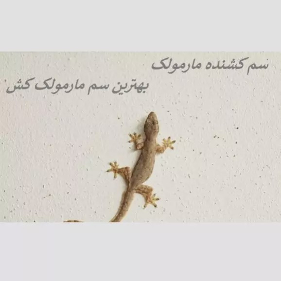 سم مارمولک کش لیزارد کشنده ترین سم ارسال رایگان مدل 1