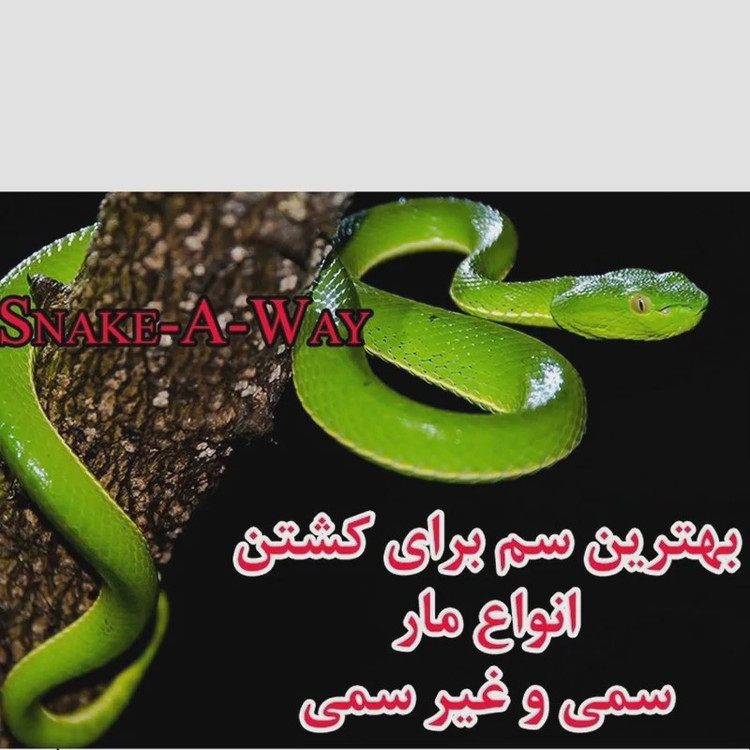 سم مار اسنیک وی یک لیتری نسخه اصلی اورجینال ارسال رایگان