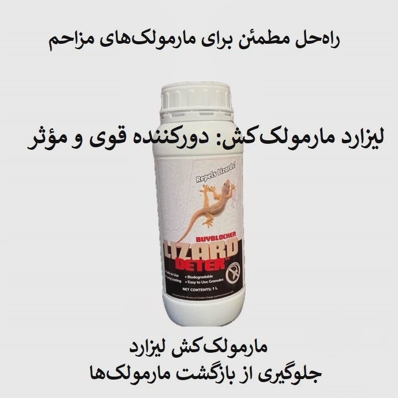 سریع از شر مارمولک خلاص شوید لیزارد