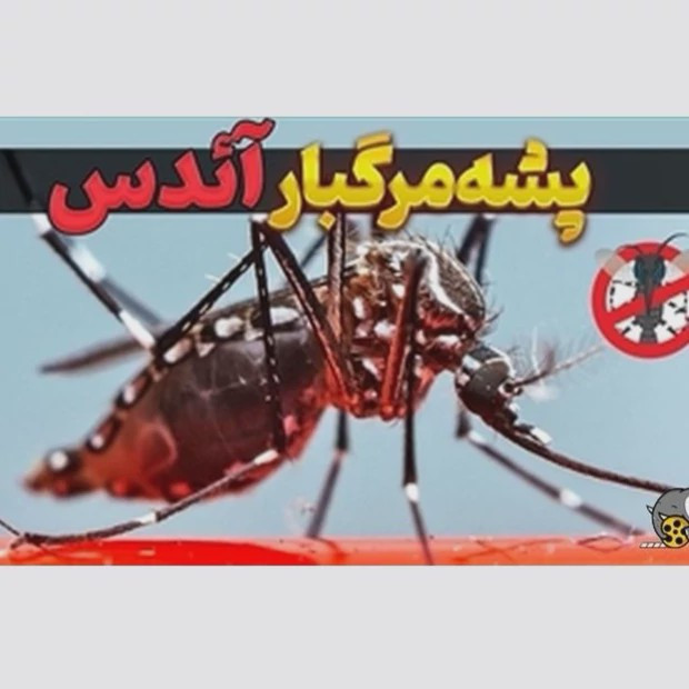 سم پشه کش قدرتمند بات Beat ارسال رایگان