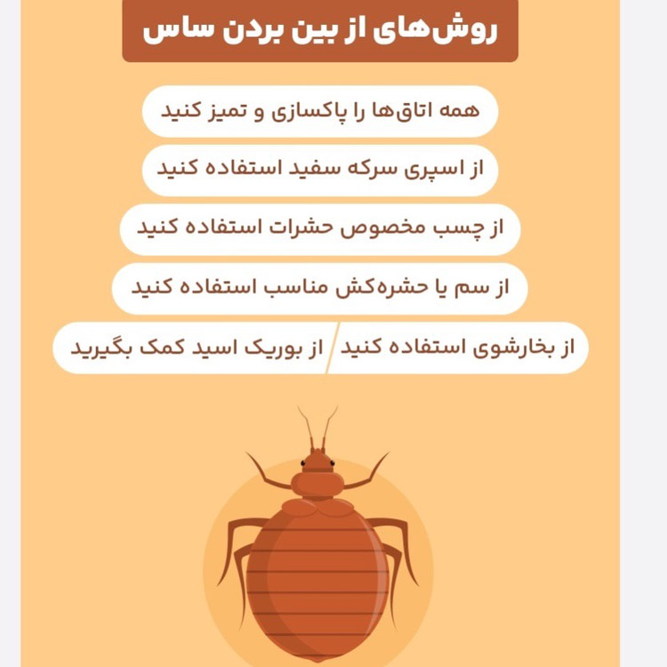 سم ساس پیرانا تحت لیسانس کشنده ترین ساس کش دنیا ، ارسال رایگان