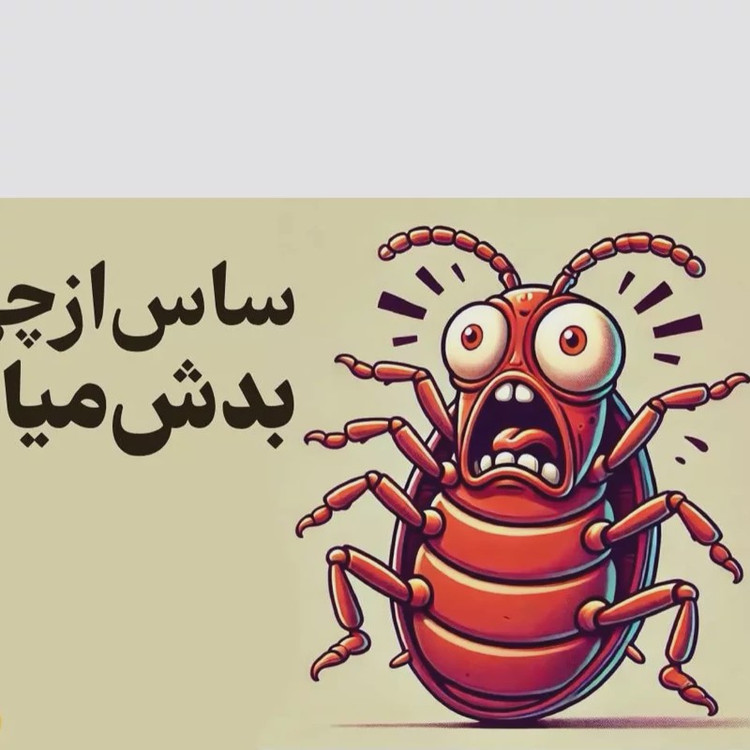 سم ساس پیرانا اصلی بایر با لوگو اورجینال ارسال رایگان
