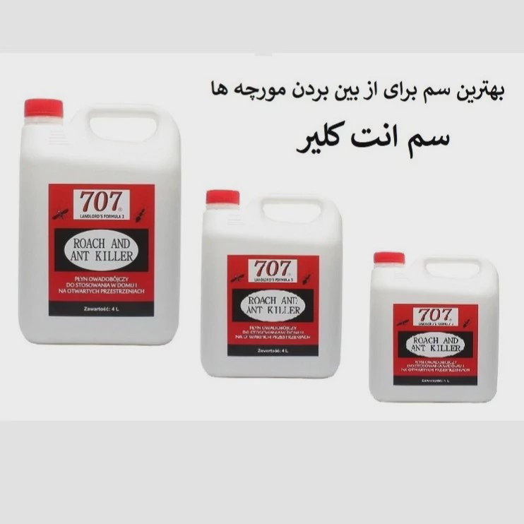 نابودی مورچه ها از خانه با بهترین سم انت کلیر