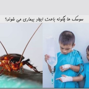 سم سوسک کش آکواپای AquaPy اورجینال نسخه اصلی ارسال رایگان