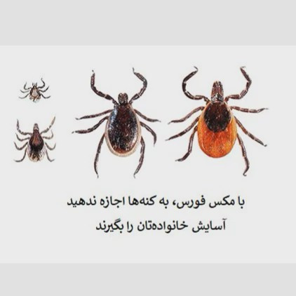 نابودی کامل کنه ها با سم مکس فورس