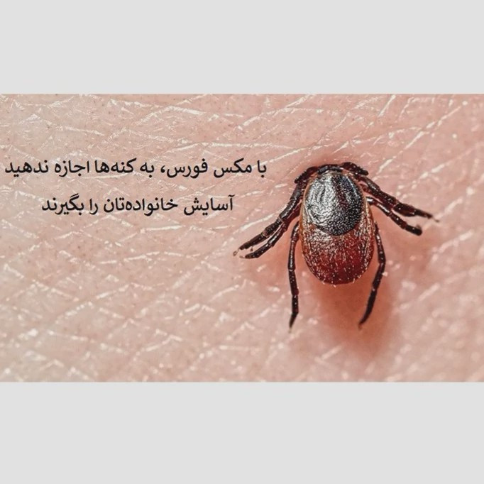 نابودی کامل کنه ها با سم مکس فورس