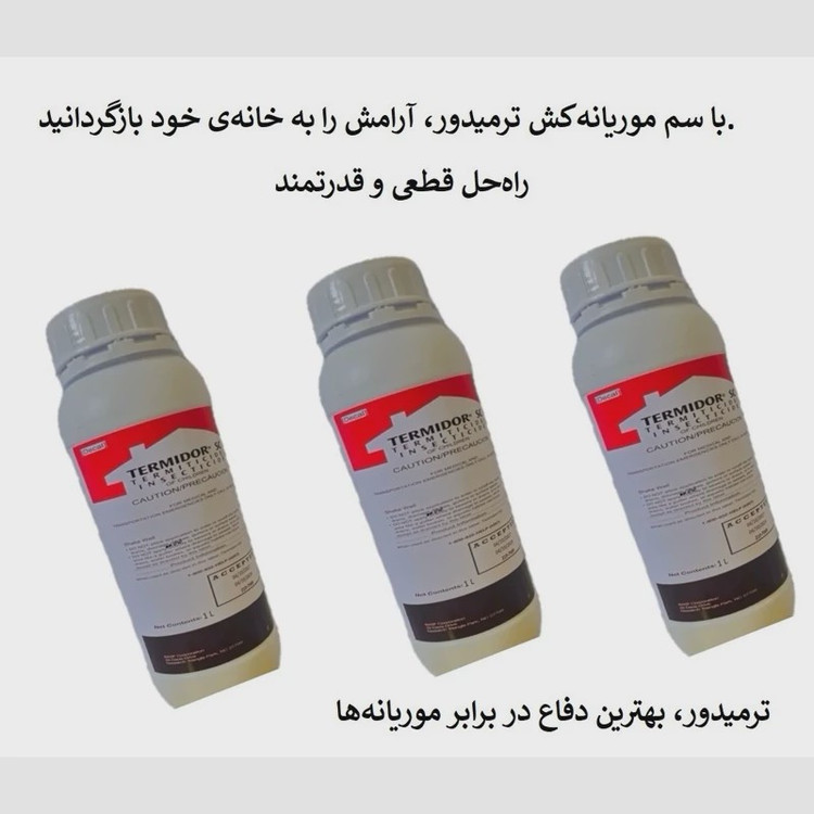 نابودی موریانه ها با بهترین سم ترمیدور