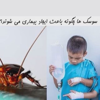 سم 4 لیتری سوسک ریز و درشت رونج عمده مبارز اول ارسال رایگان