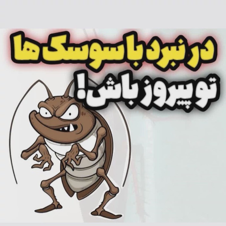 سم 4 لیتری سوسک ریز و درشت رونج عمده مبارز اول ارسال رایگان