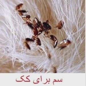 سم کک کش کلین آپ نابود کننده انوع کک ها ارسال رایگان
