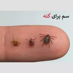 سم کنه کش مکس فورس ارسال رایگان کپی