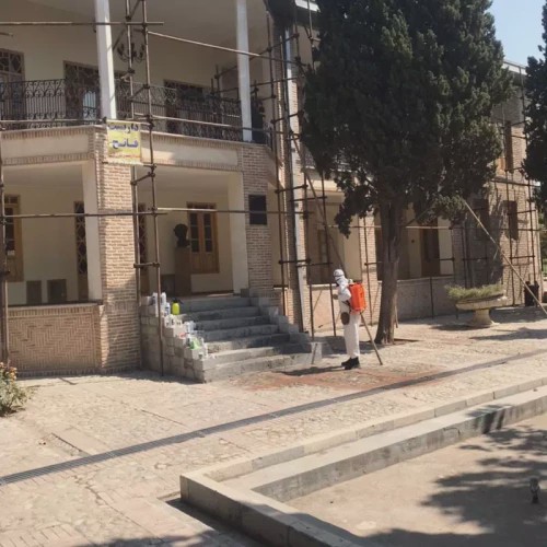 سم کنه کش مکس فورس ارسال رایگان کپی