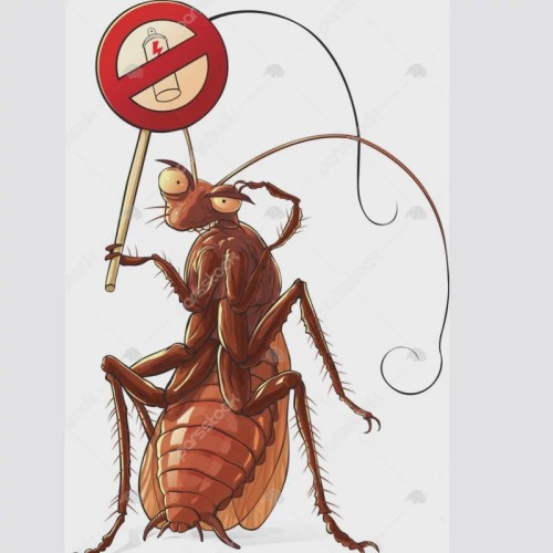 سم سوسک کش رونج رقیب سوسک های آلمانی ارسال رایگان